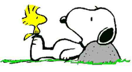 Snoopy a d�cid� de rester cach� aujourd'hui ...
