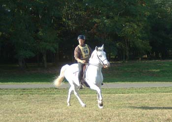 alb01026