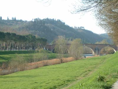 alb00696
