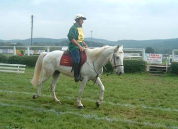 alb00413