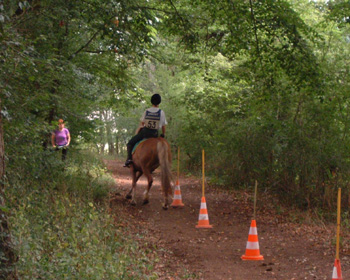 Slalom