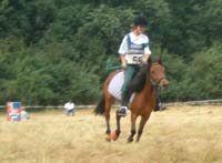 Heloise