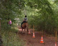 Slalom